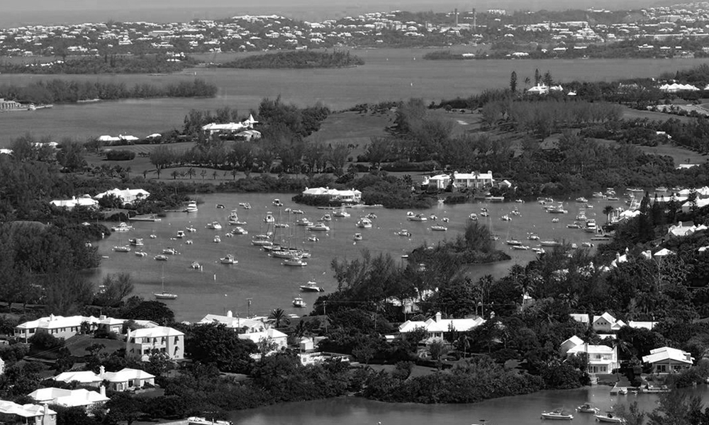 Bermuda Asset Management